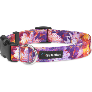 Obroża na klamrę jesienne kwiaty