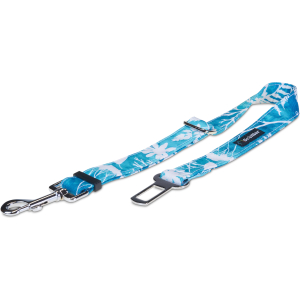 Pas samochodowy miętowe rośliny