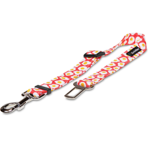 Pas samochodowy jajka sadzone