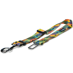 Pas samochodowy kolorowy wiatr