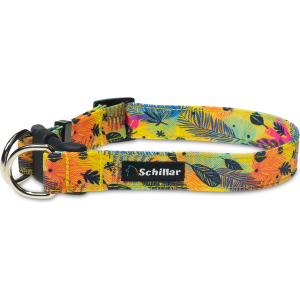 Obroża double lock Kolorowy wiatr