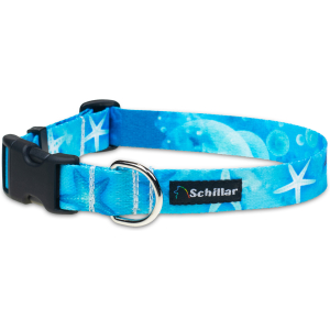 Obroża na klamrę rozgwiazdy