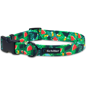 Obroża na klamrę tukany i arbuzy