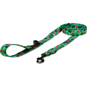 Smycz przepinana Tukany i arbuzy