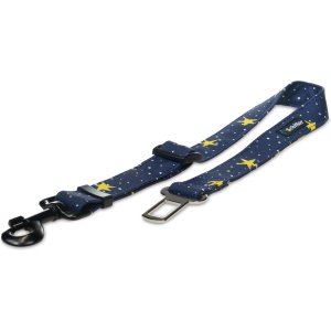 Pas samochodowy gwiezdne niebo