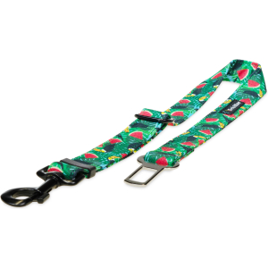 Pas samochodowy tukany i arbuzy