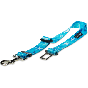 Pas samochodowy rozgwiazdy