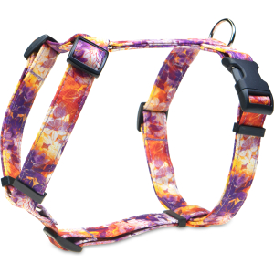 Szelki guard jesienne kwiaty