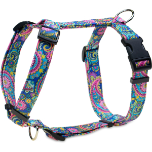 Szelki guard niebieski paisley