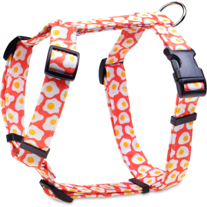 Szelki guard jajka sadzone