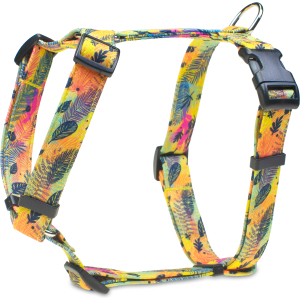 Szelki guard kolorowy wiatr