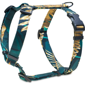 Szelki guard emerald & golden leaves