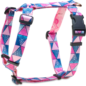 Szelki guard Ale mandale!