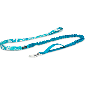 Smycz z amortyzatorem Miętowe rośliny