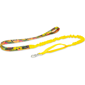 Smycz z amortyzatorem Kolorowy wiatr