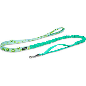 Smycz z amortyzatorem Kiwi