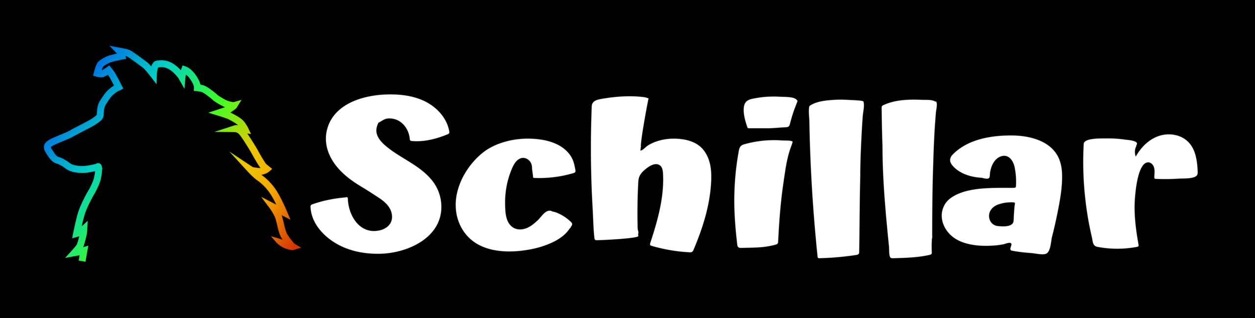 Akcesoria dla psów schillar