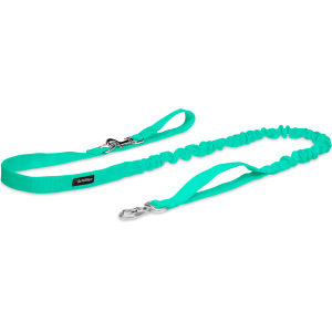 Smycz z amortyzatorem miętowa